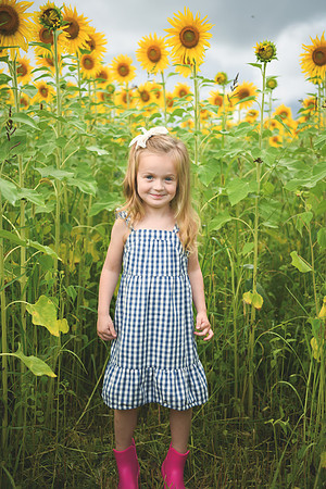 2023 sunflowers [schubert] 001