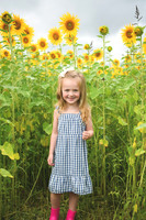 2023 sunflowers [schubert] 007