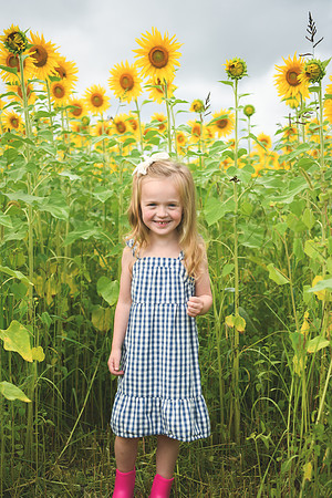 2023 sunflowers [schubert] 007