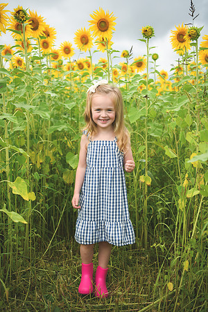 2023 sunflowers [schubert] 008