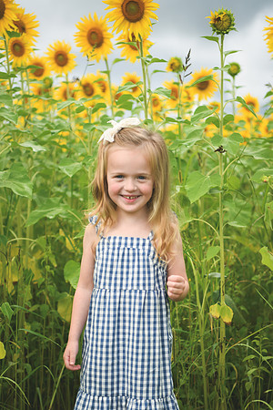 2023 sunflowers [schubert] 009