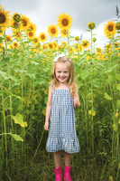 2023 sunflowers [schubert] 010