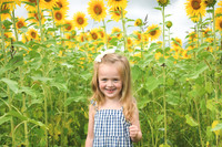 2023 sunflowers [schubert] 011