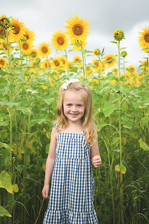 2023 sunflowers [schubert] 012