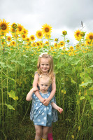2023 sunflowers [schubert] 013