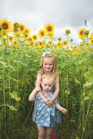 2023 sunflowers [schubert] 014