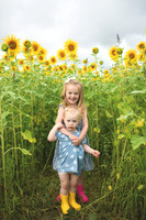 2023 sunflowers [schubert] 015