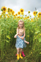 2023 sunflowers [schubert] 016