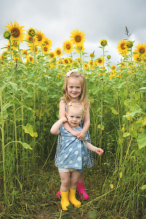 2023 sunflowers [schubert] 016