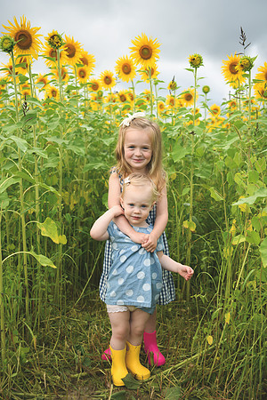 2023 sunflowers [schubert] 017