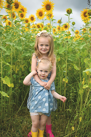 2023 sunflowers [schubert] 018