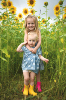 2023 sunflowers [schubert] 019