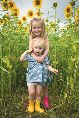 2023 sunflowers [schubert] 019
