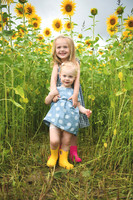 2023 sunflowers [schubert] 020