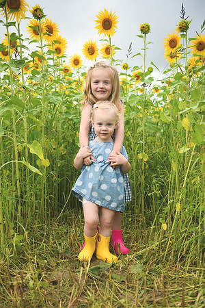 2023 sunflowers [schubert] 022