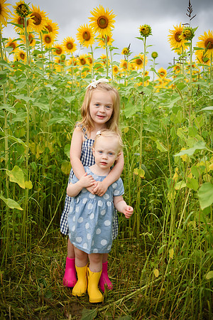 2023 sunflowers [schubert] 023