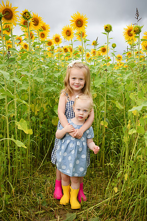2023 sunflowers [schubert] 024