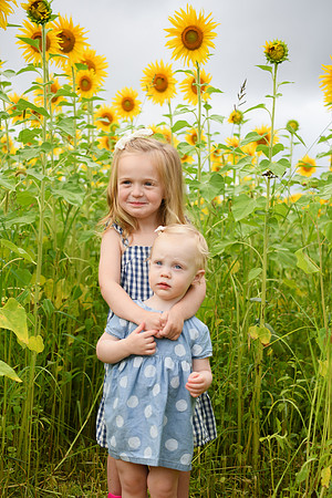 2023 sunflowers [schubert] 025
