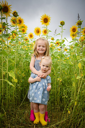 2023 sunflowers [schubert] 027
