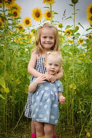 2023 sunflowers [schubert] 028