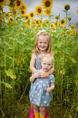 2023 sunflowers [schubert] 029