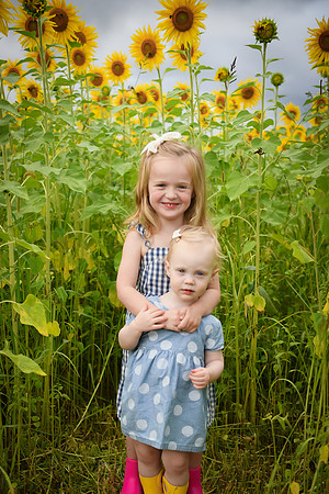 2023 sunflowers [schubert] 030