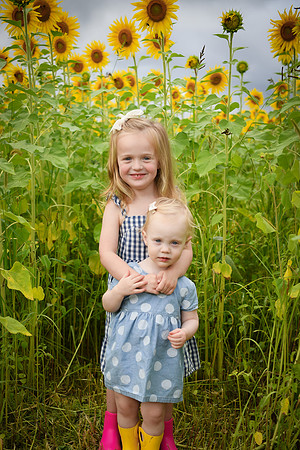 2023 sunflowers [schubert] 031