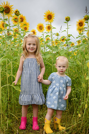 2023 sunflowers [schubert] 038