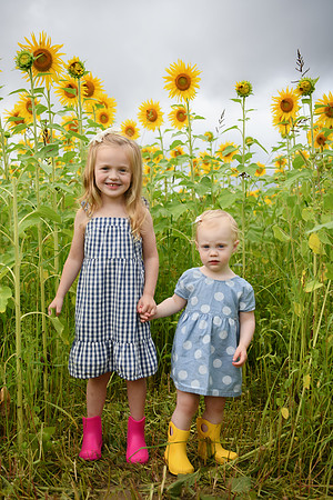 2023 sunflowers [schubert] 039