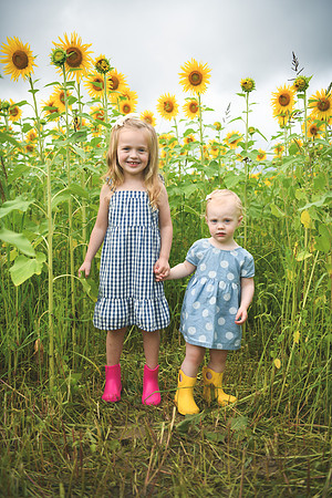 2023 sunflowers [schubert] 040