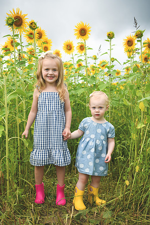 2023 sunflowers [schubert] 041