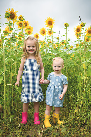 2023 sunflowers [schubert] 042