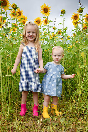 2023 sunflowers [schubert] 046