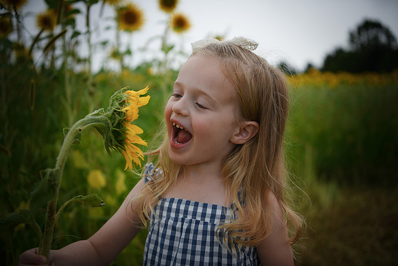 2023 sunflowers [schubert] 082