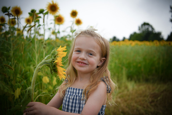 2023 sunflowers [schubert] 086