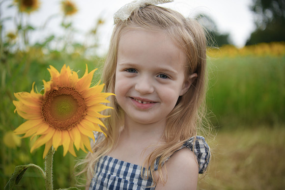 2023 sunflowers [schubert] 090