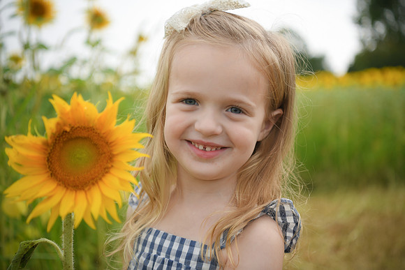 2023 sunflowers [schubert] 091
