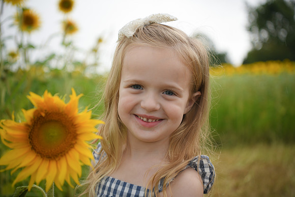 2023 sunflowers [schubert] 092