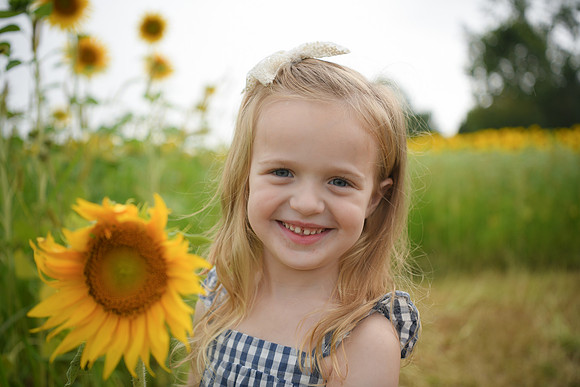 2023 sunflowers [schubert] 093