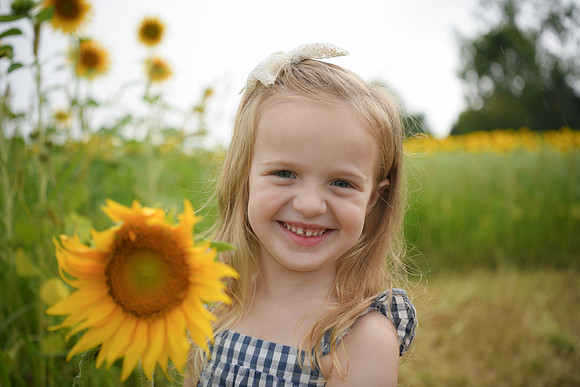 2023 sunflowers [schubert] 094
