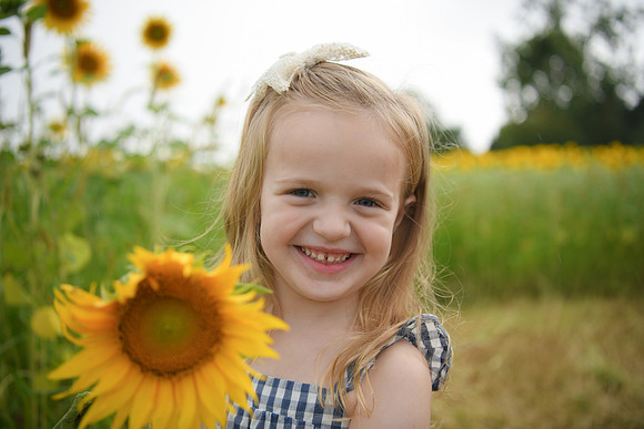 2023 sunflowers [schubert] 095