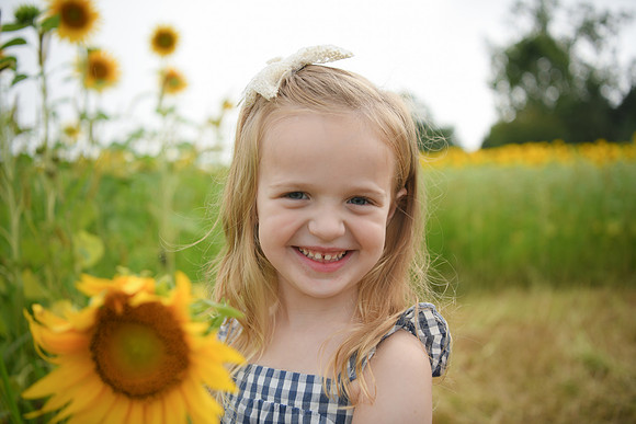 2023 sunflowers [schubert] 096