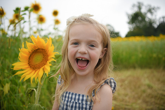 2023 sunflowers [schubert] 097