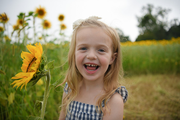 2023 sunflowers [schubert] 098