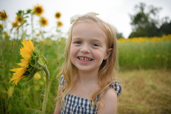 2023 sunflowers [schubert] 099