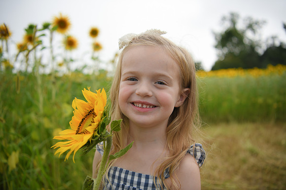 2023 sunflowers [schubert] 101
