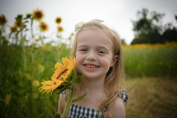 2023 sunflowers [schubert] 102
