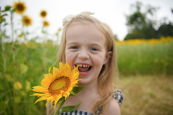 2023 sunflowers [schubert] 104