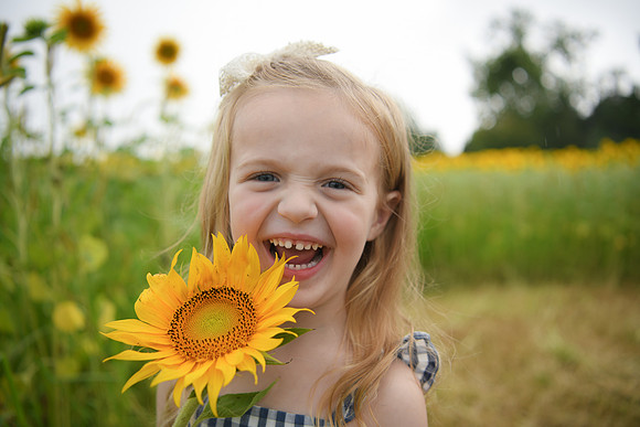 2023 sunflowers [schubert] 105