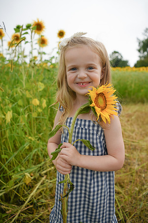 2023 sunflowers [schubert] 109